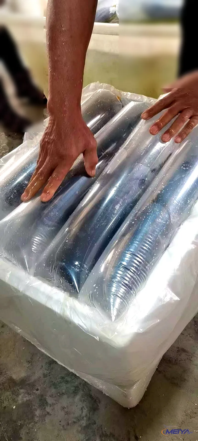 笋壳鱼充氧袋装箱
